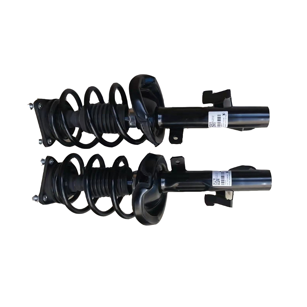 Right Shock Absorbers