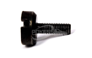 Auto Parts DB5E6K269AA BB5Z8K269A 5259491 Drive Camshaft Sensor Wheel Screw for Ford Mondeo 08-12/Mondeo 13/Taurus/Edge/Mustang