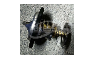 1X4Z8575EB 1X4E8575FB 1X4Z8575A 1X4E8575FC RT1228 1X4Z8575B 1X4E8575AA 1X4Z8575FA Thermostat for Ford Edge/Explorer 3.5