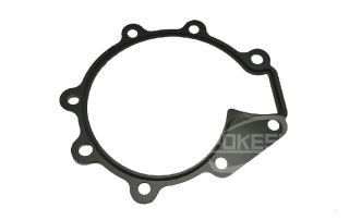 2X4E8507BA XS2E8501EA BU2J8501AA XS2E85014EC XS2E8501CA F5RZ8501A F63Z8501AA Water Pump Gasket for Ford Mondeo 2.5/Ku-ga