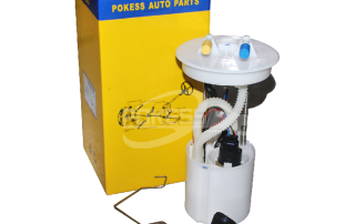 CN159H307CD 0580200198 CN159H307CB CN159H307CD EM10168 CN159H307CC 2910002256600 Fuel Pump Assembly for Ford Ecosport 1.5
