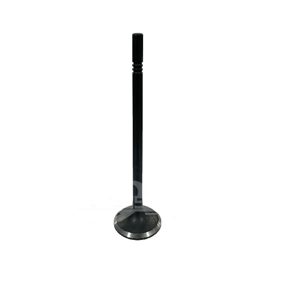 Auto Parts HN196505AA HN1Z6505A Exhaust Valve for Ford Ecosport 18/Focus 19 1.5