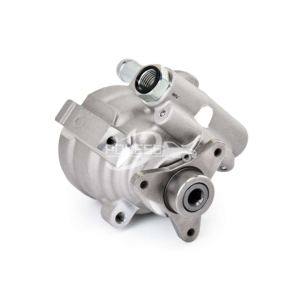 7700417137 7700840105 491103097R 8200234212 7700431283 7700840107 7700431713 Power Steering Pump for Renault
