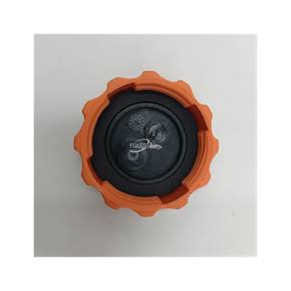96420303 5490777 94539597 Radiator Cap for Buick Excelle